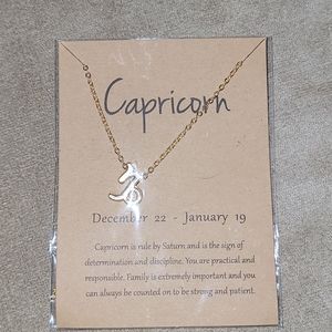 Gold Zodiac Necklace Capricorn